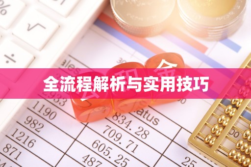 如皋全流程解析与实用技巧