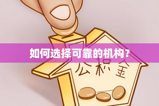 如皋如何选择可靠的机构？