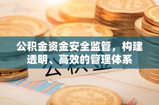 如皋公积金资金安全监管，构建透明、高效的管理体系