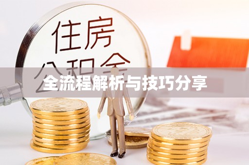 如皋全流程解析与技巧分享