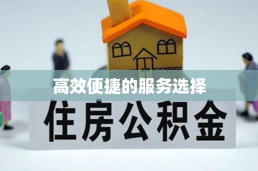 如皋高效便捷的服务选择