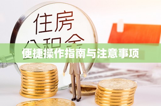 如皋便捷操作指南与注意事项