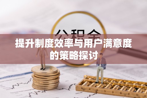 如皋提升制度效率与用户满意度的策略探讨