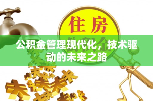 如皋公积金管理现代化，技术驱动的未来之路